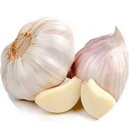 Экстракт чеснока